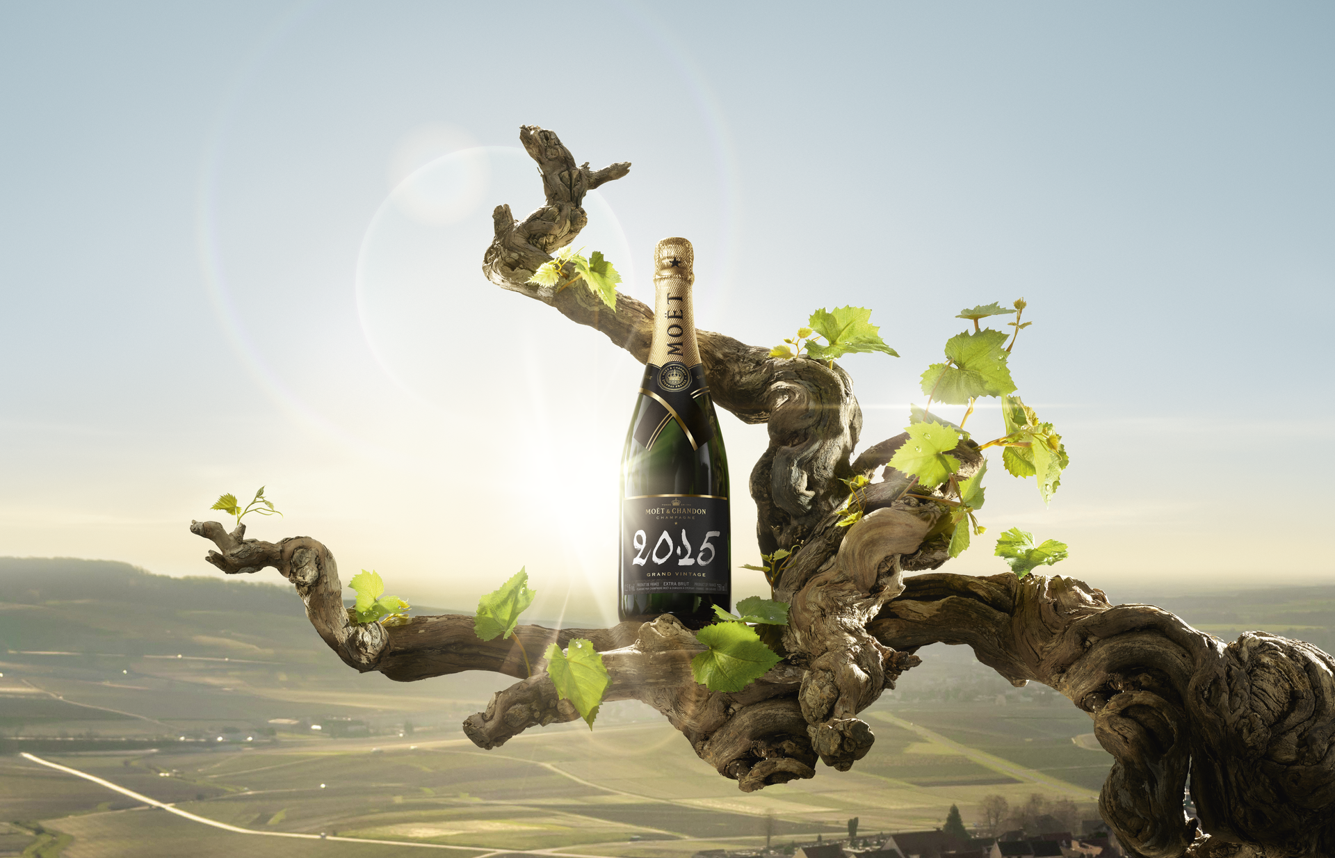 Moët & Chandon champagne unveils Moët & Chandon Grand Vintage 2015